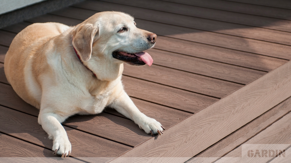 Naturalny i nowoczesny taras kompozytowy