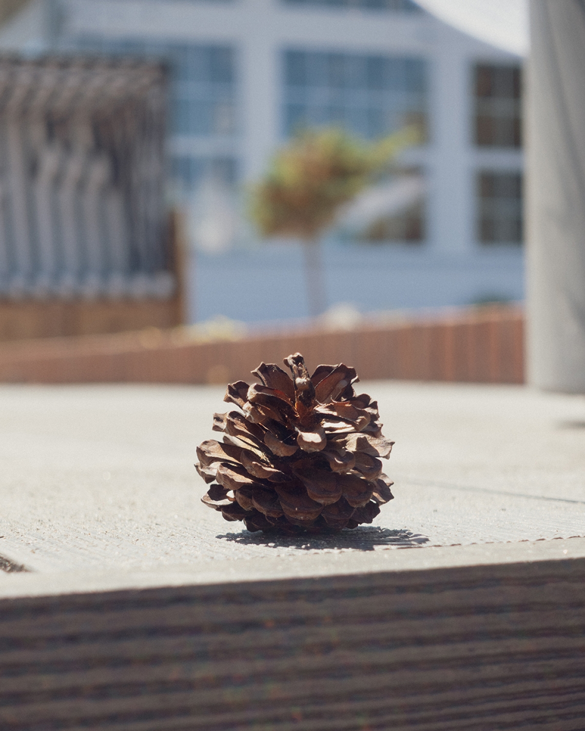 Gardin Natur wciąż na fali